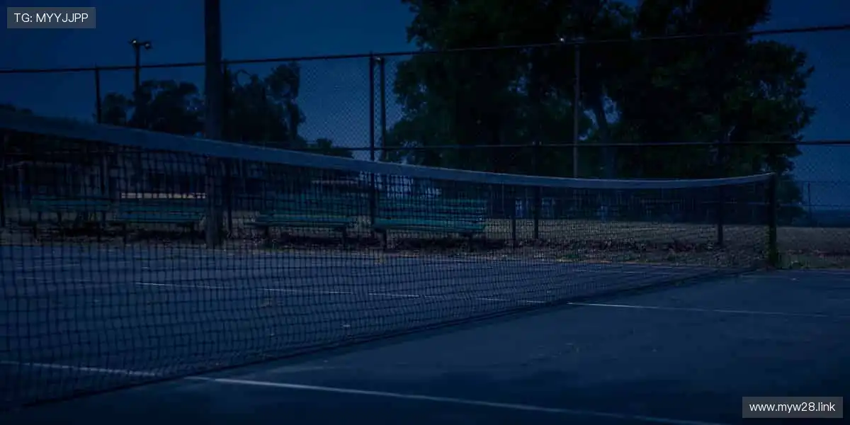 热门剧集,精彩不断!📺✨